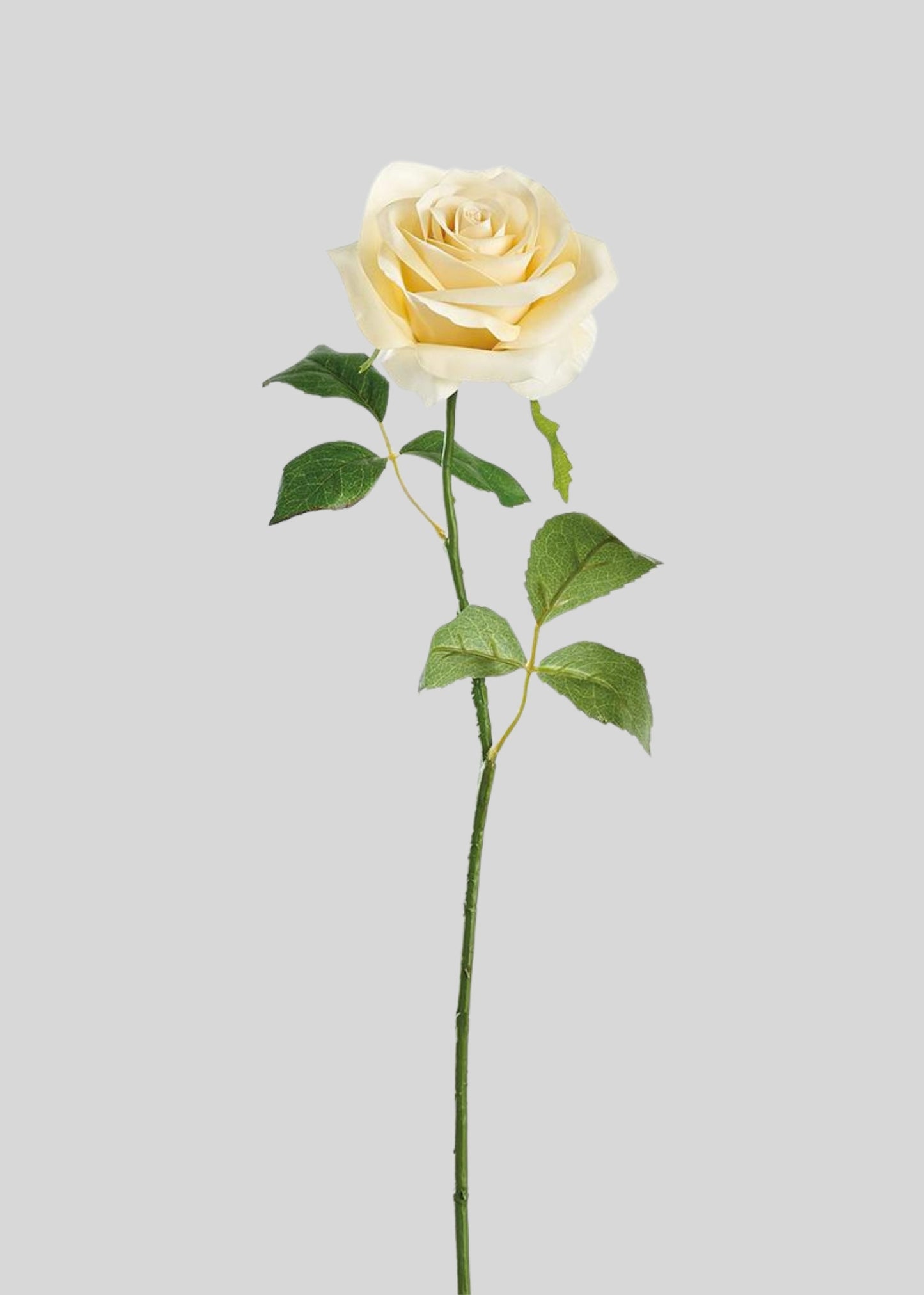 Real Touch Rose Artificial Flower in Buttercream Yellow - 21.5"