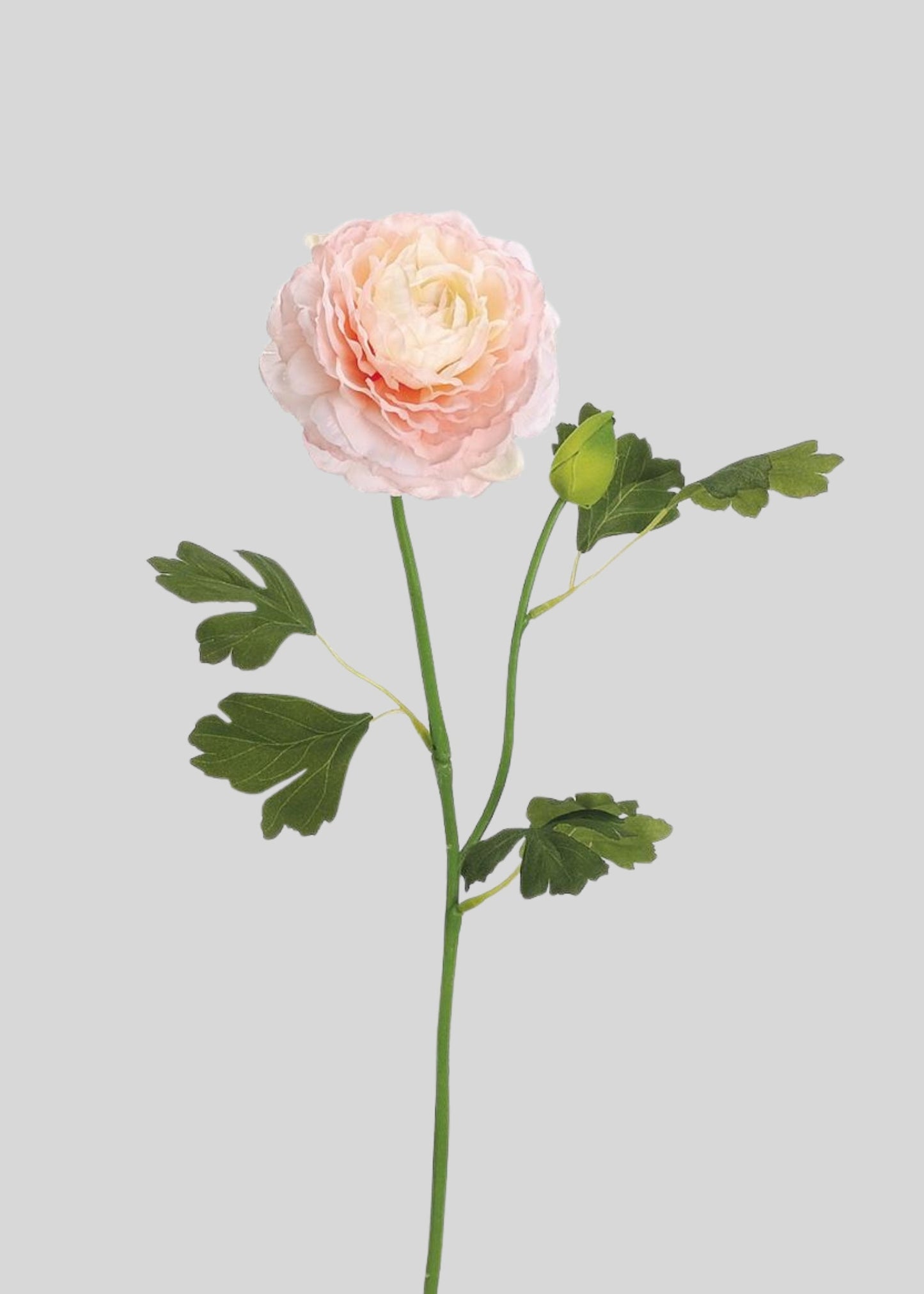Soft Pink Artificial Ranunculus Flower - 19"