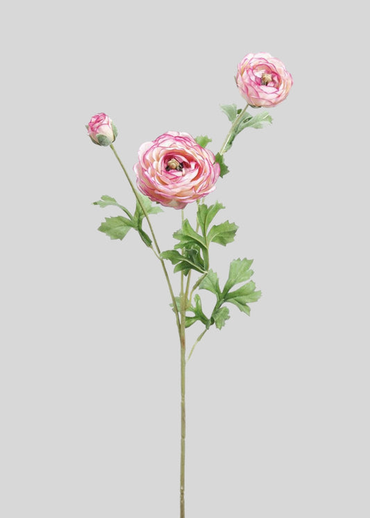 Pink and Cream Fake Ranunculus Flowers - 25.5"