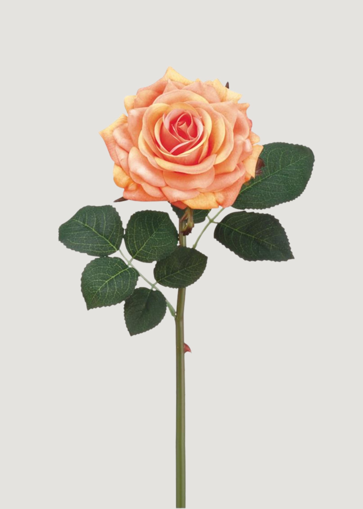Real Touch Rose in Peach - 12"