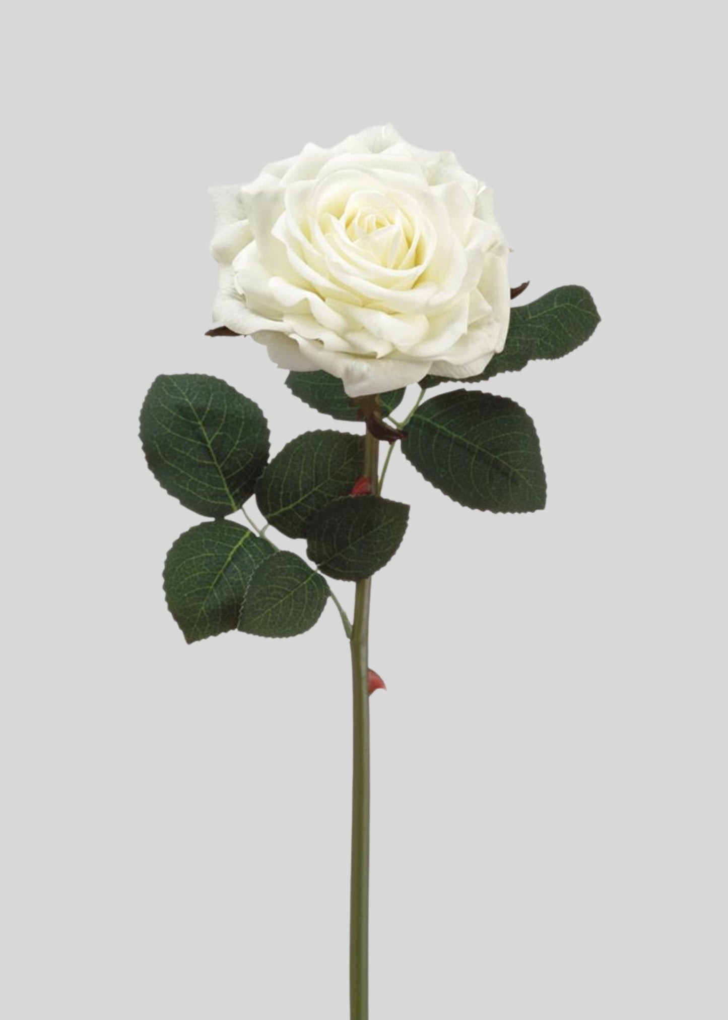 White Real Touch Rose - 12"