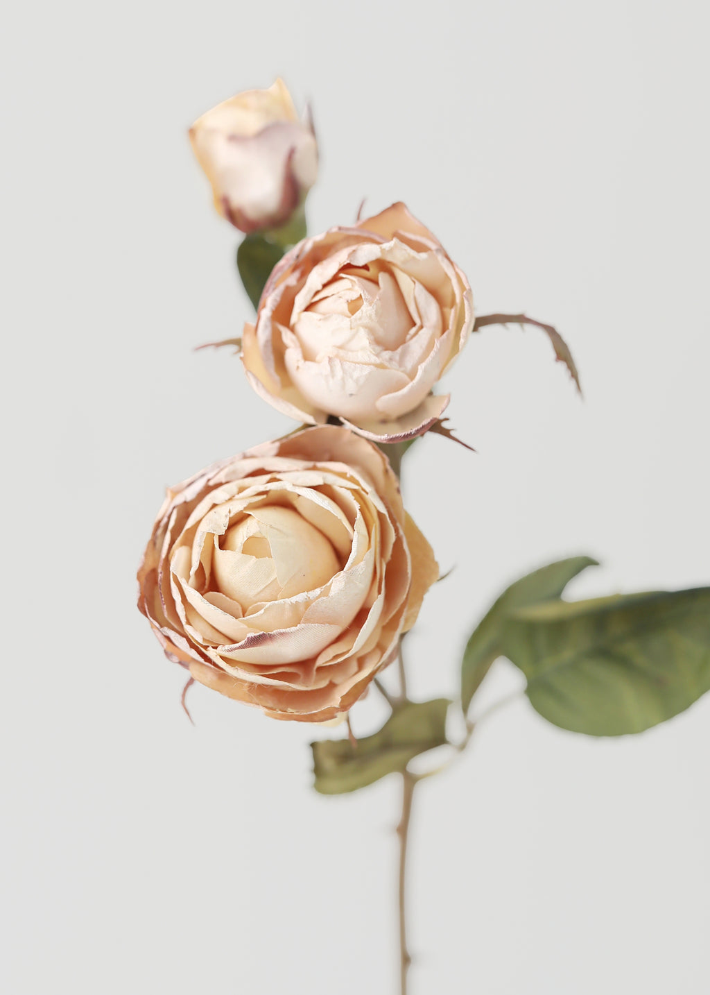 Dried Look Fake Roses in Beige - 21"