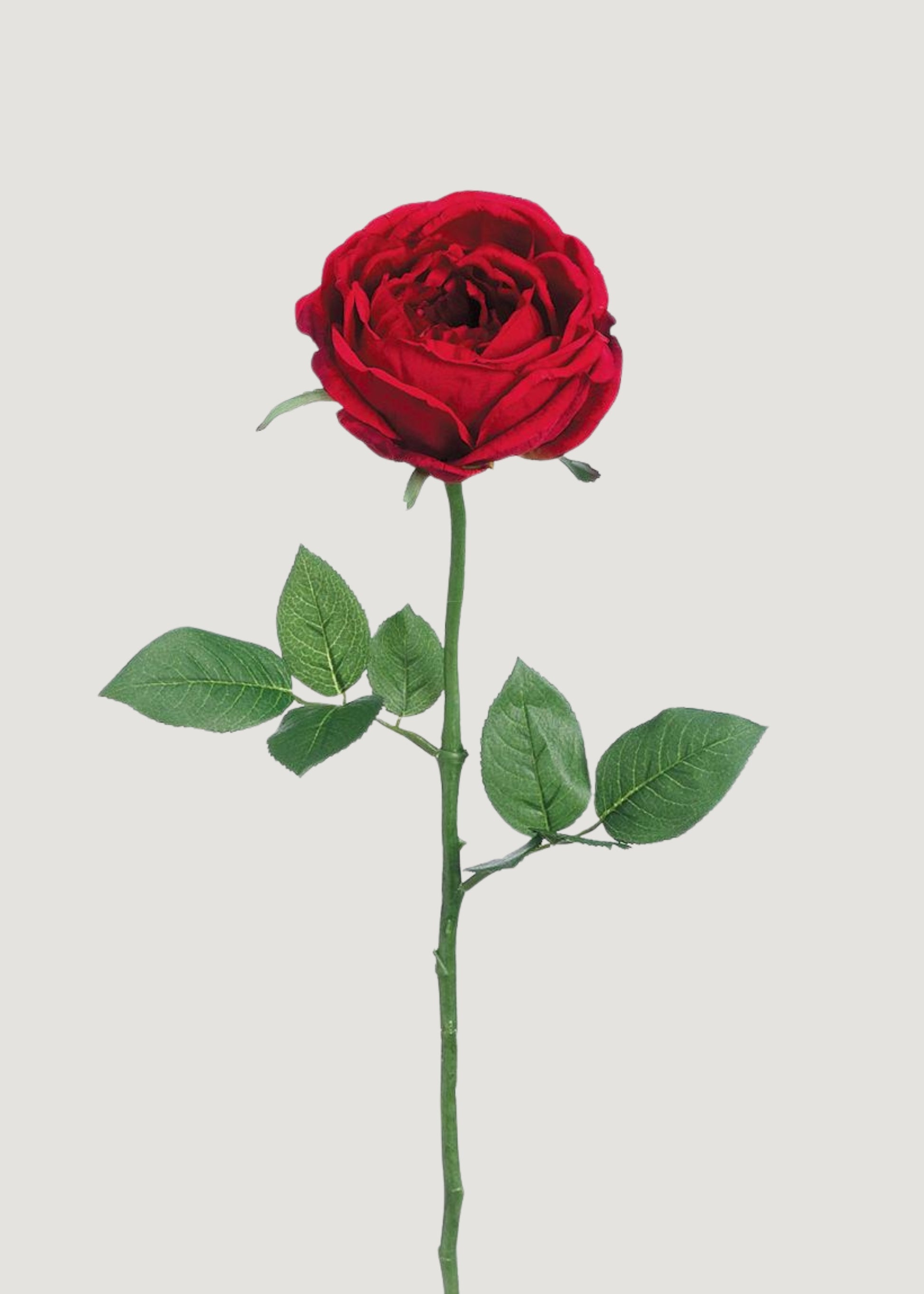 Red Artificial Garden Cabbage Rose - 23"