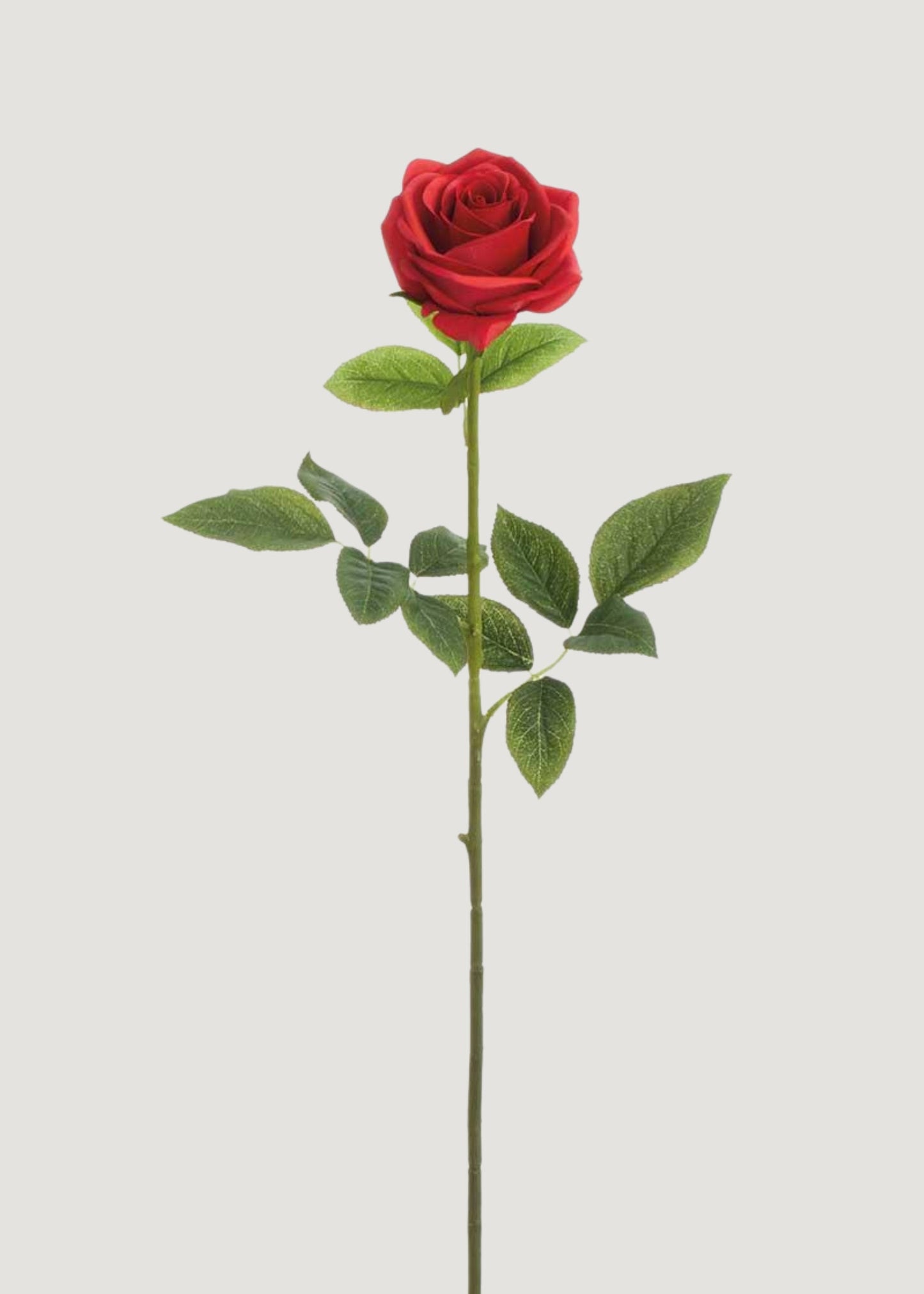 Red Real Touch Rose Artificial Flower - 27"