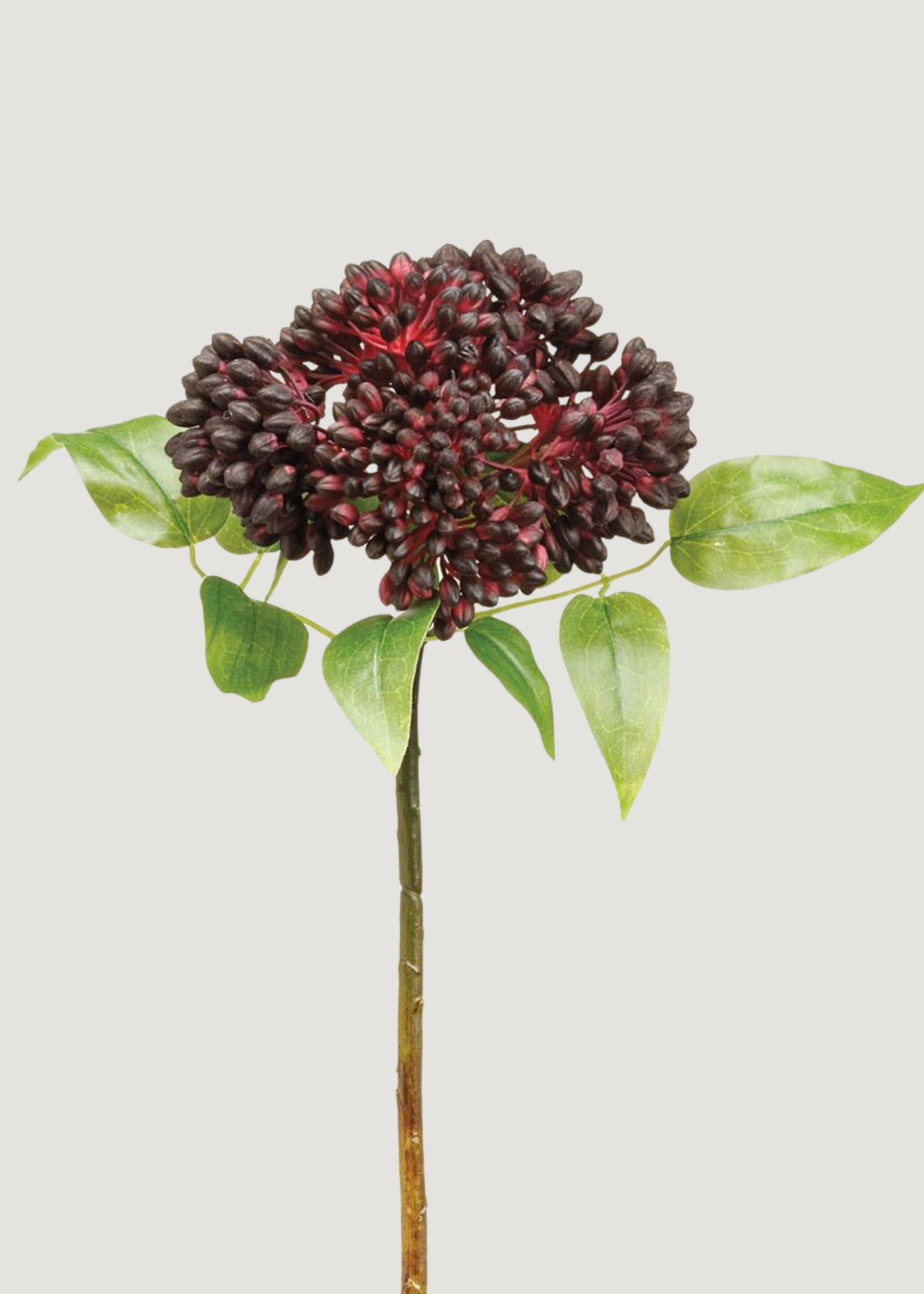 Artificial Sedum Succulent in Burgundy - 17"