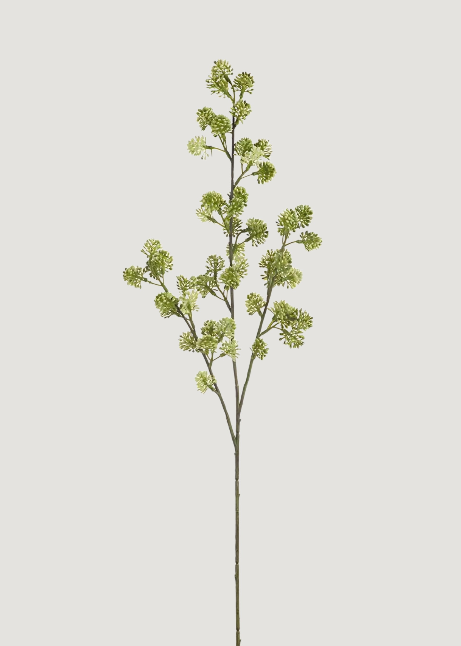 Artificial Sedum Succulent Branch in Green Cream - 28"