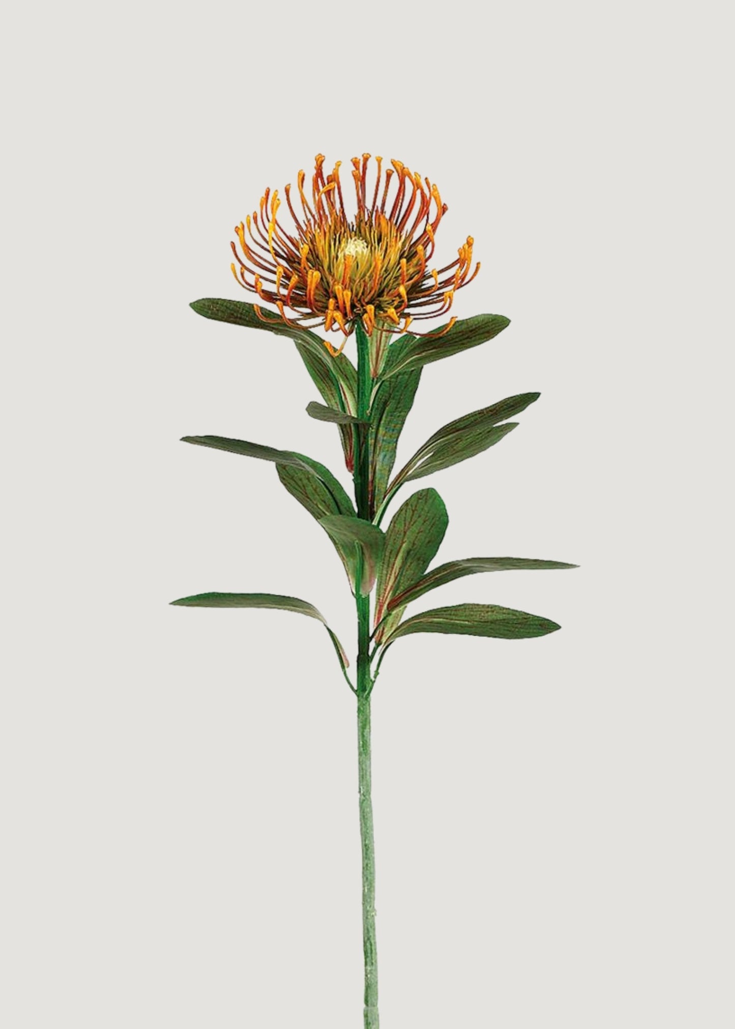 Rust Orange Artificial Pincushion Protea Tropical Flower - 28"