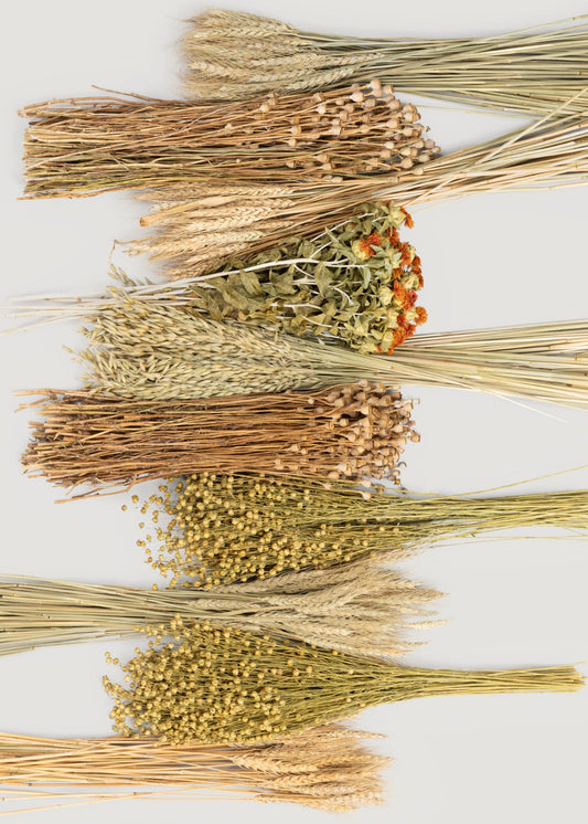 Case of 10 - Assorted Bundles of Dried Grains and Grasses
