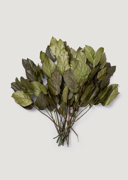 Green Preserved Salal Leaves - 20-25"