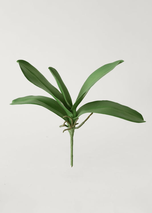 Artificial Phalaenopsis Orchid Leaf Plant - 15"