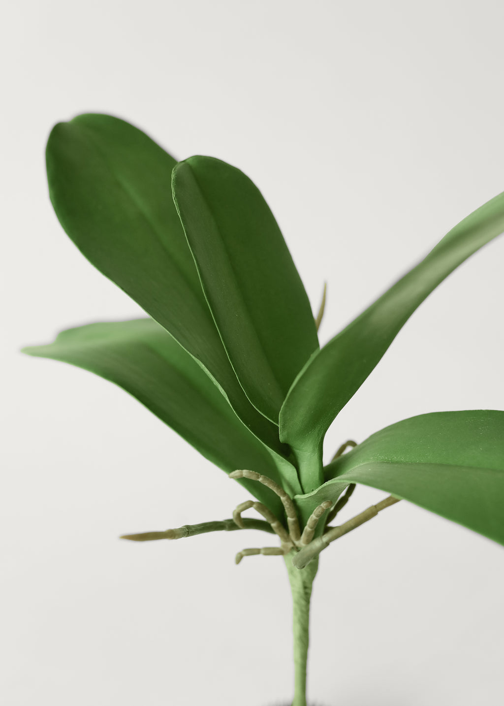 Artificial Phalaenopsis Orchid Leaf Plant - 15"
