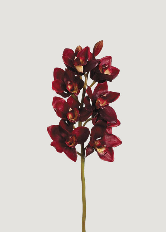 Burgundy Red Fake Cymbidium Orchid Flowers - 27"