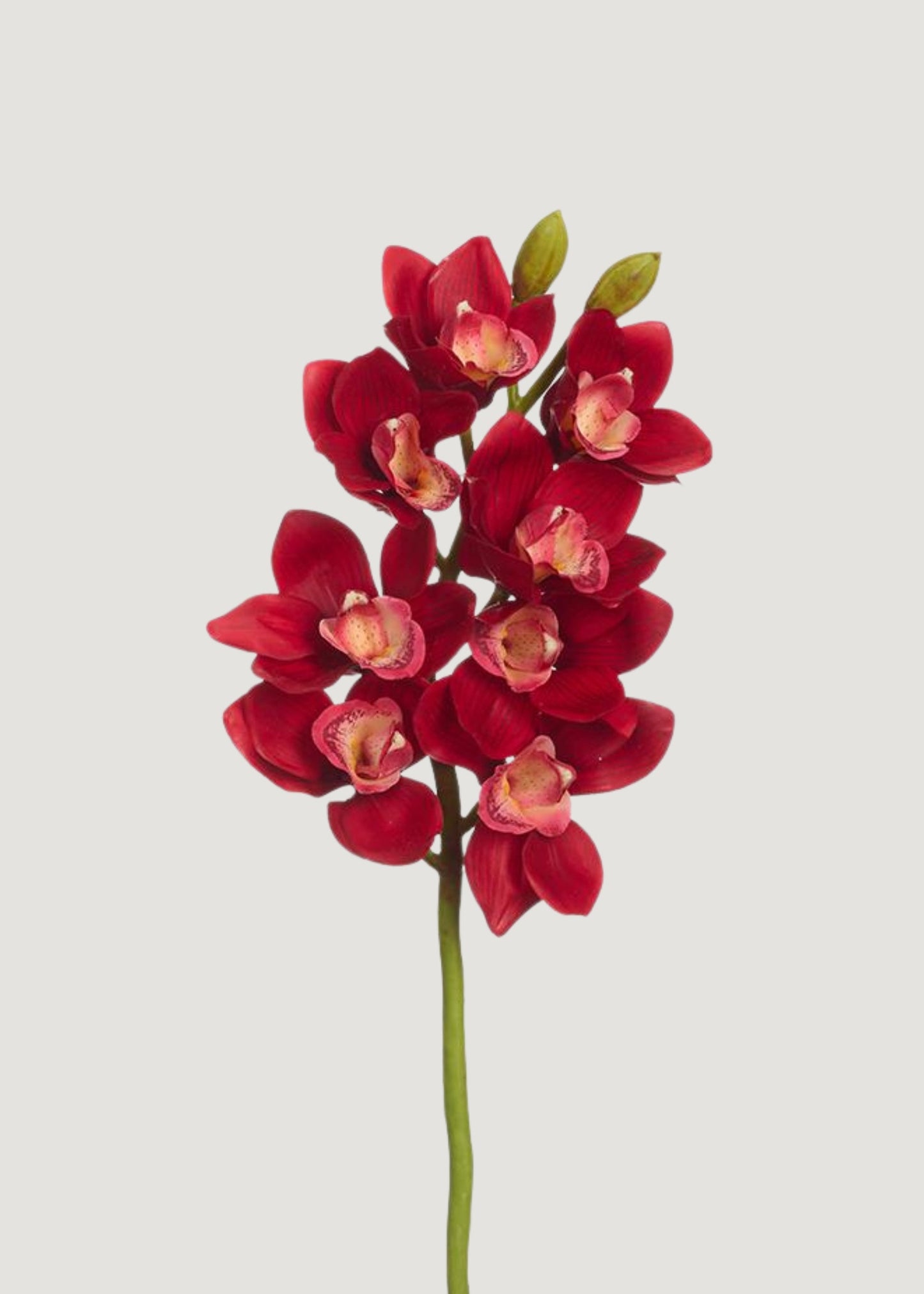 Fake Cymbidium Orchid Flowers in Red - 27"