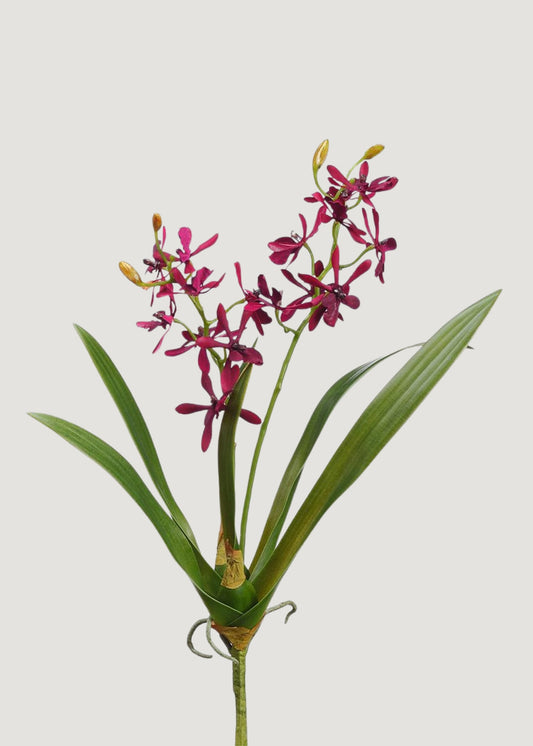 Burgundy Artificial Blooming Cattleya Orchid Plant - 16"