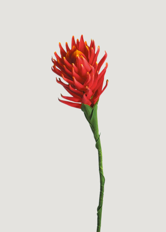 Flame Red and Orange Protea Fake Tropical Flower - 36"