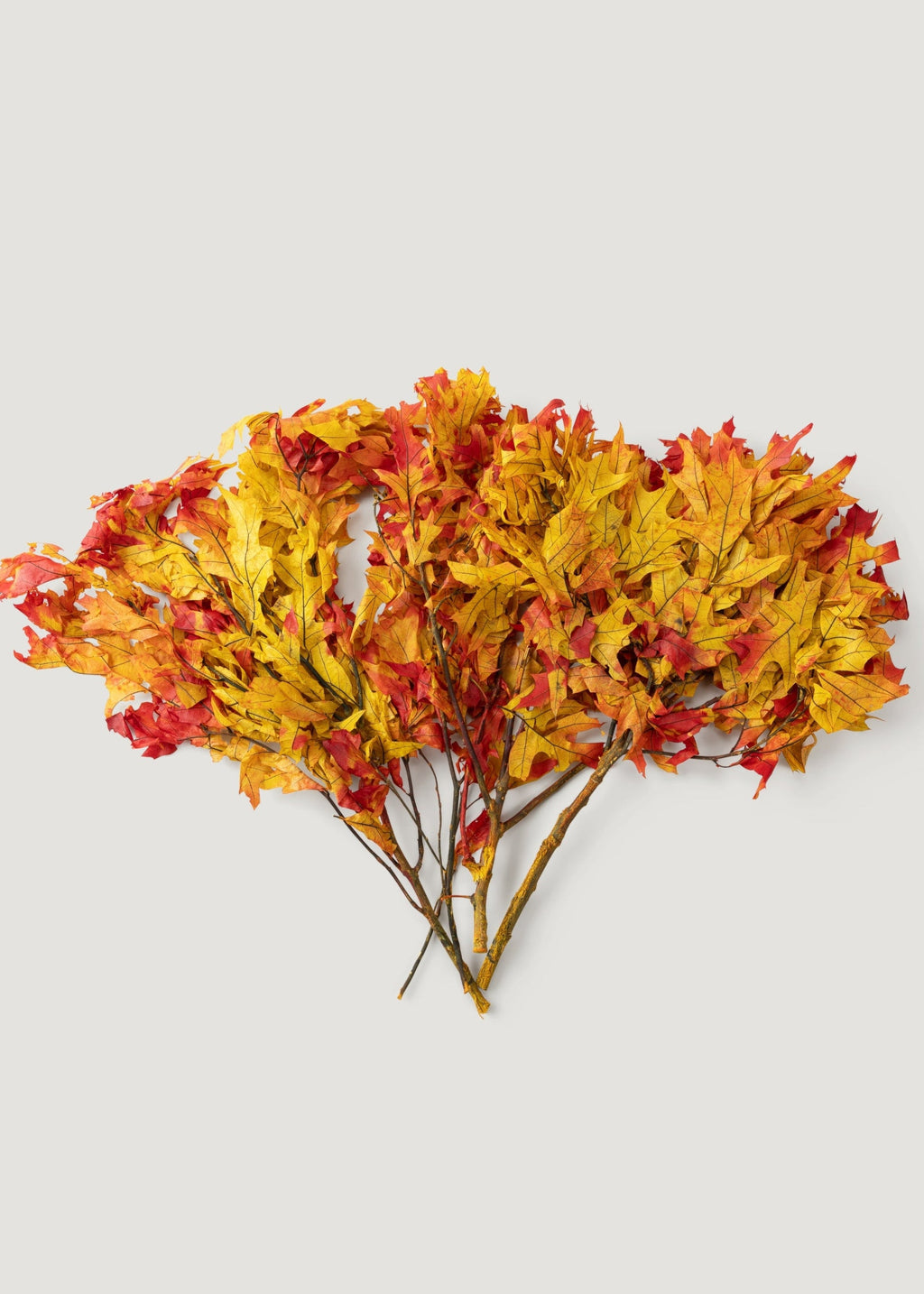Preserved Fall Oak Leaves in Autumn Red Orange - 1 lb - 22" Long