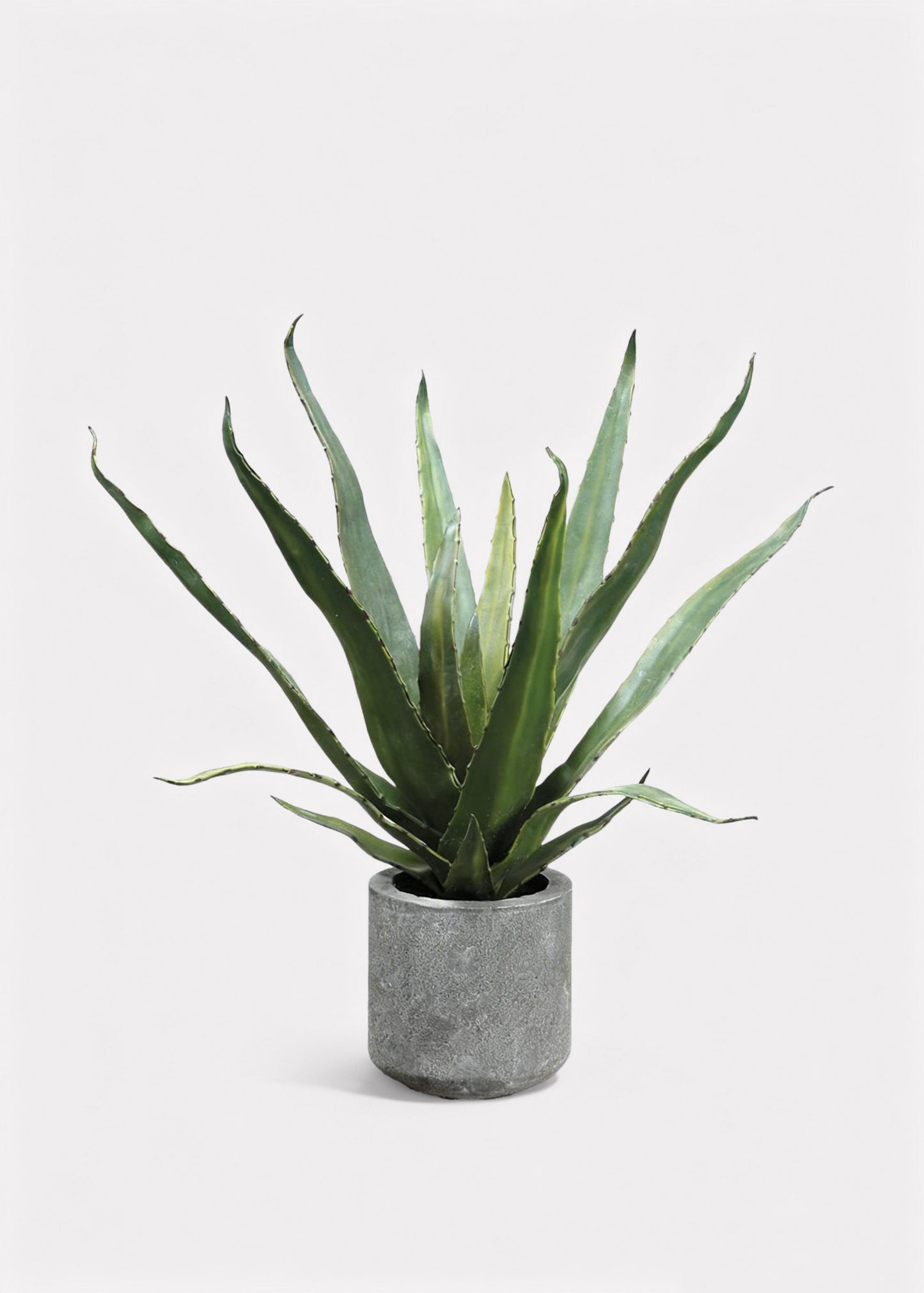 Fake Potted Agave Cactus Plant in Cement Pot - 19"
