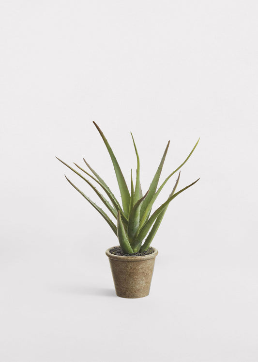 Small Fake Agave Cactus Plant in Paper Mache Pot - 11"
