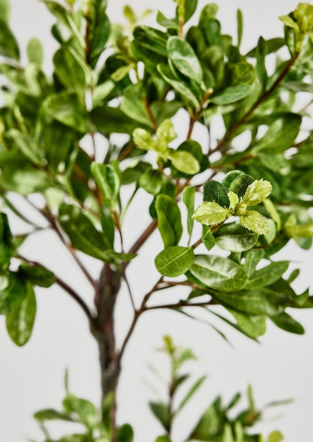 Artificial Japonicus Potted Tree - 39.75"