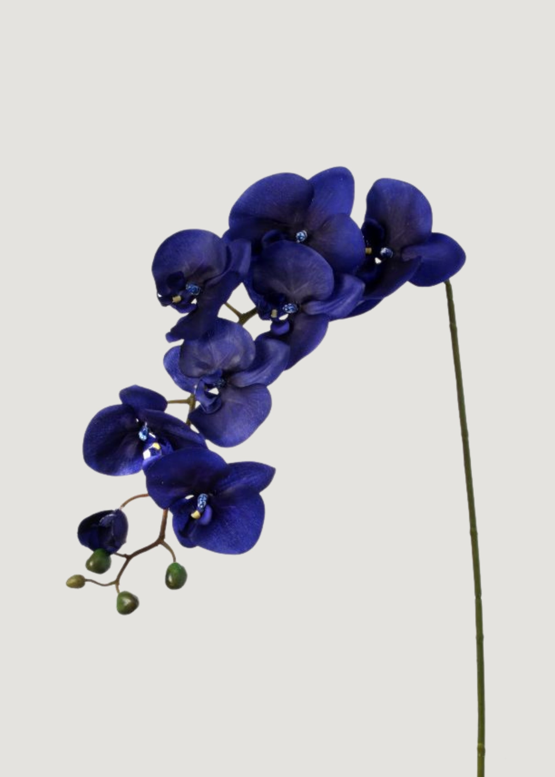 Indigo Blue Fake Phalaenopsis Orchid - 38"