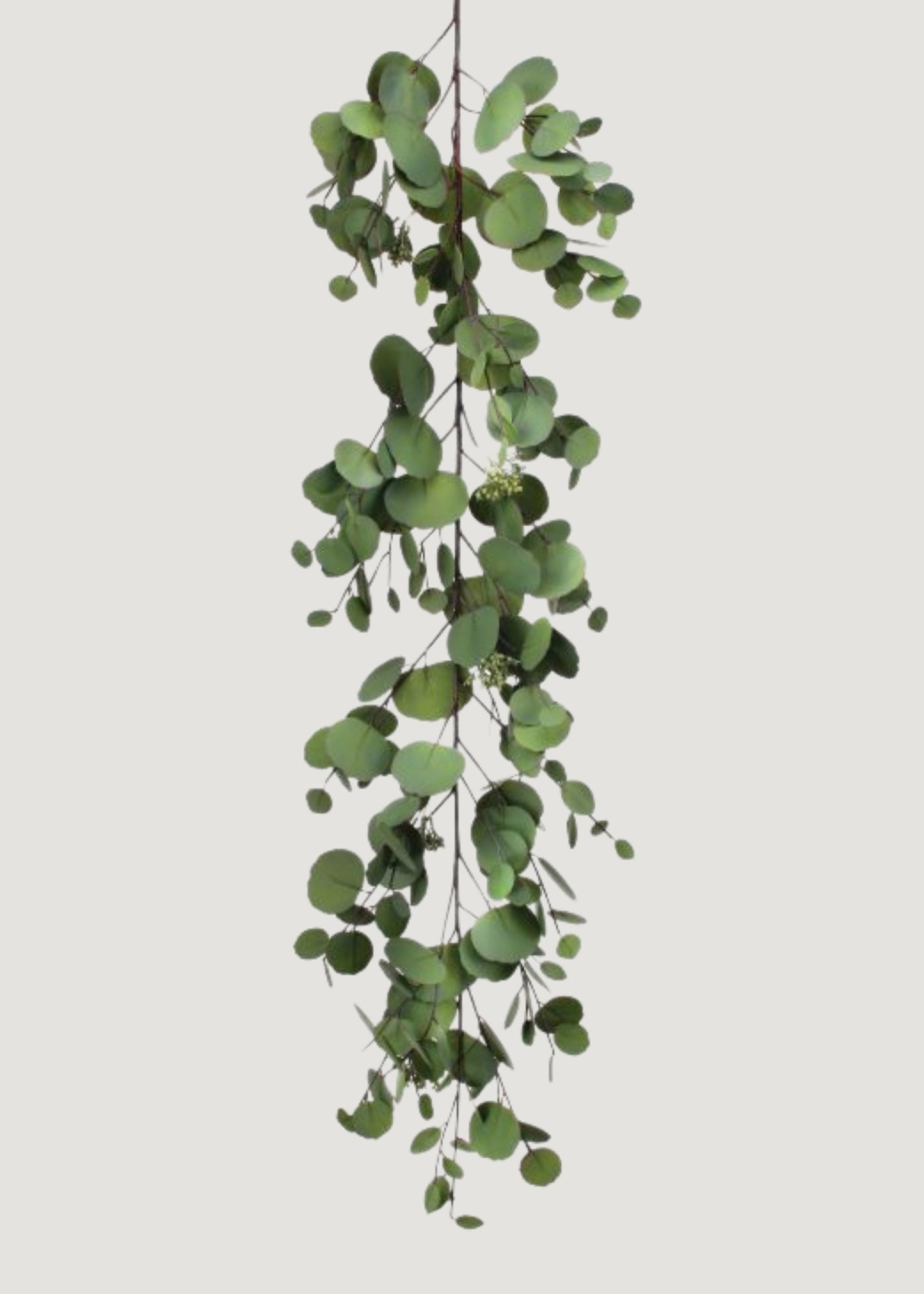 Natural Touch Fake Silver Dollar Eucalyptus Garland - 48"