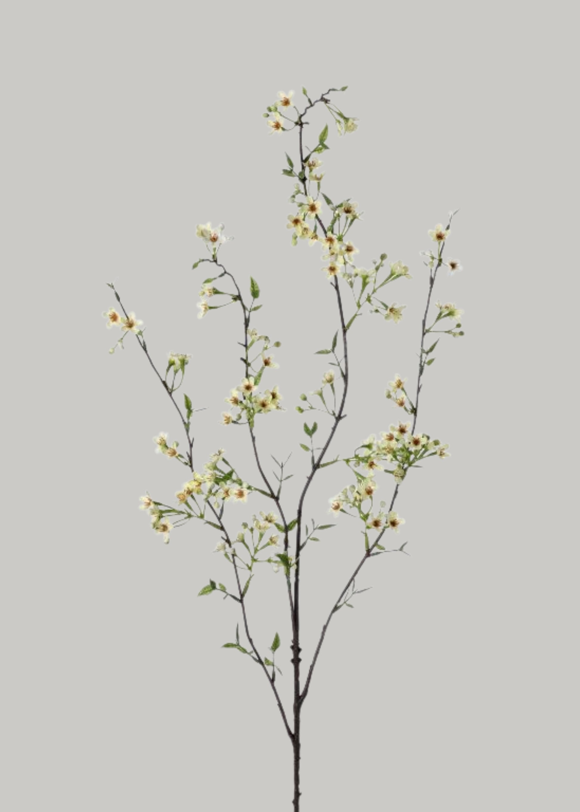 Green Artificial Waxflower Blossom Branch - 40"
