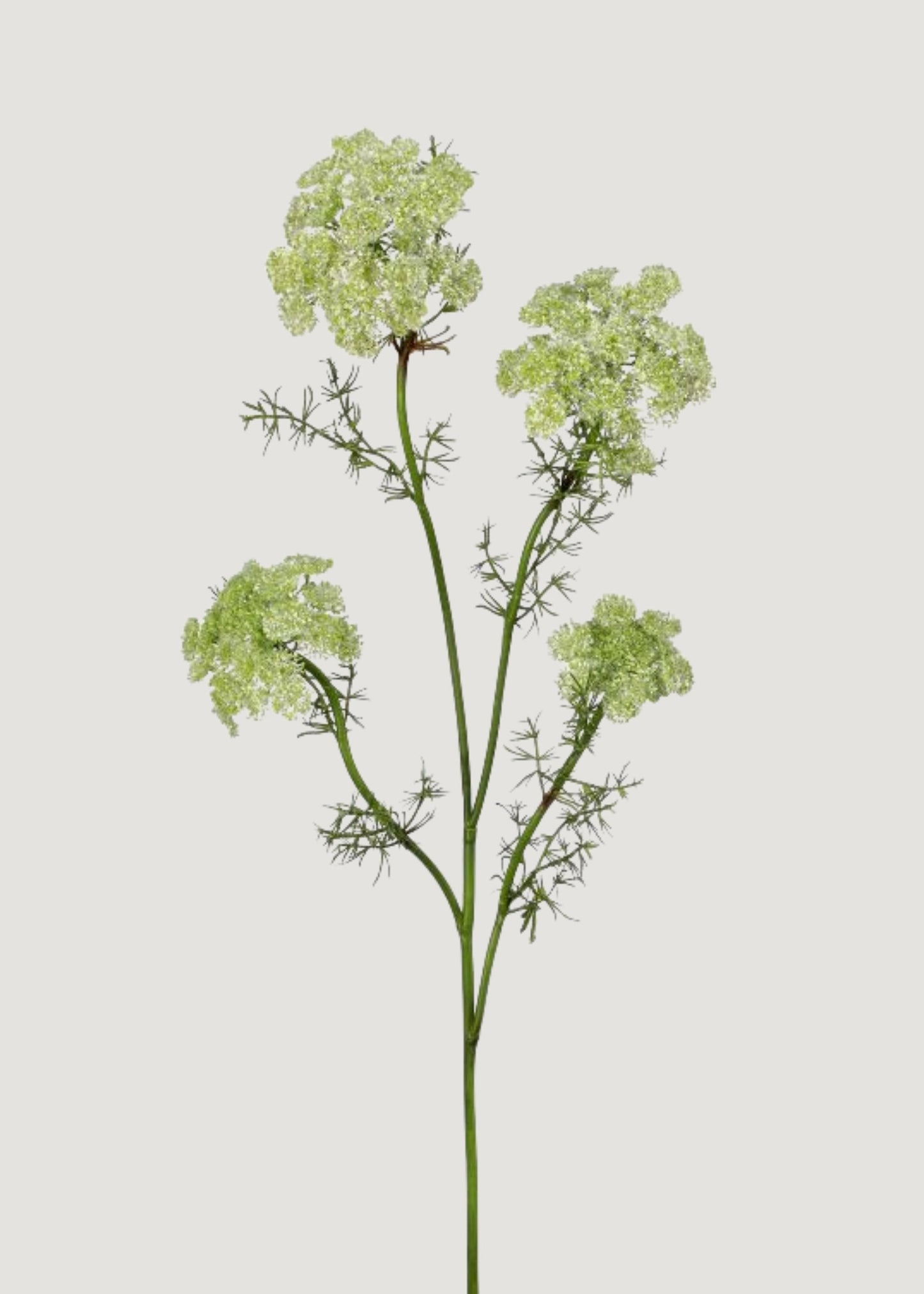 Green Artificial Dill Wildflower Branch - 33"