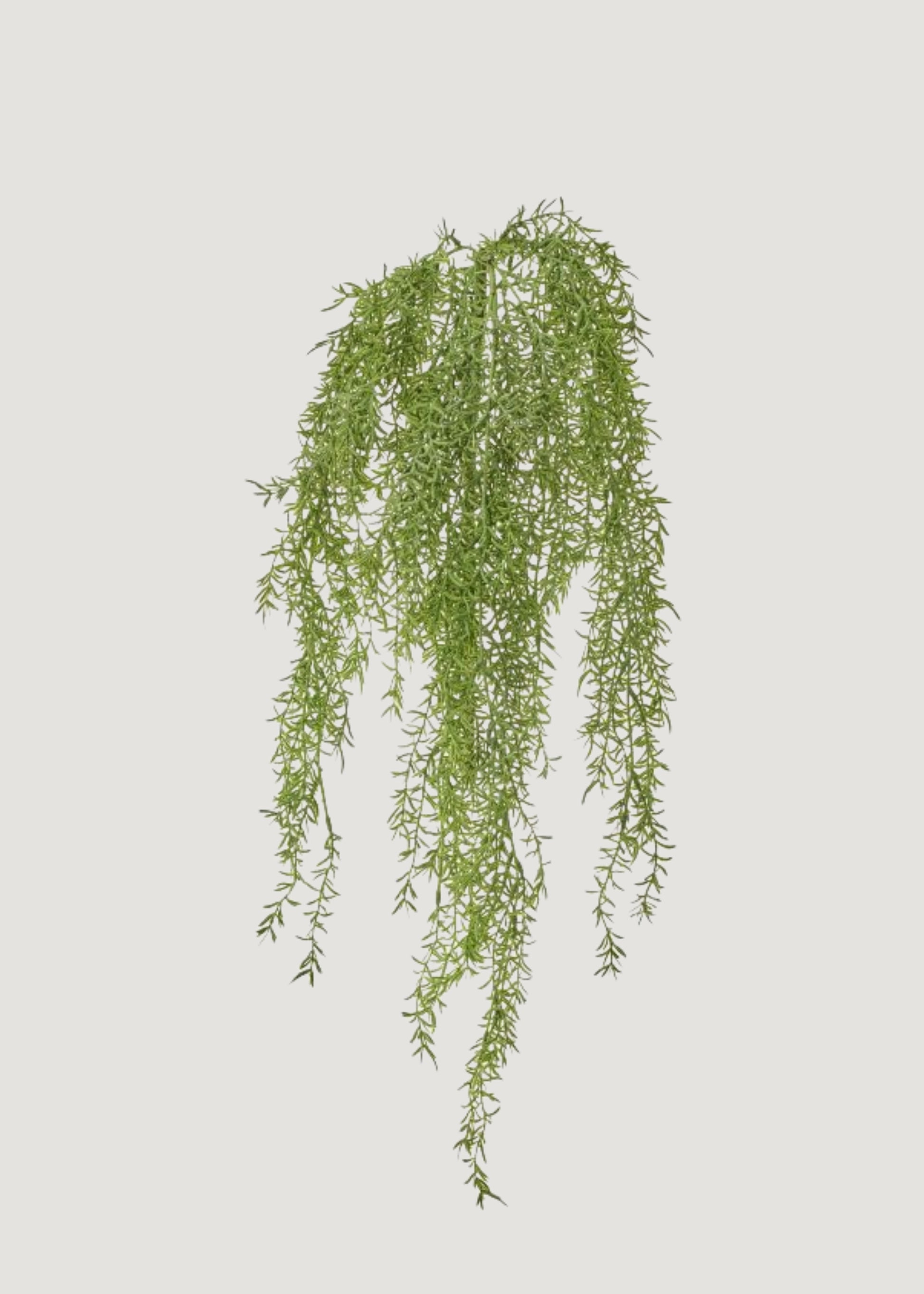 Natural Touch Sprengeri Fern Fake Hanging Bush - 40"