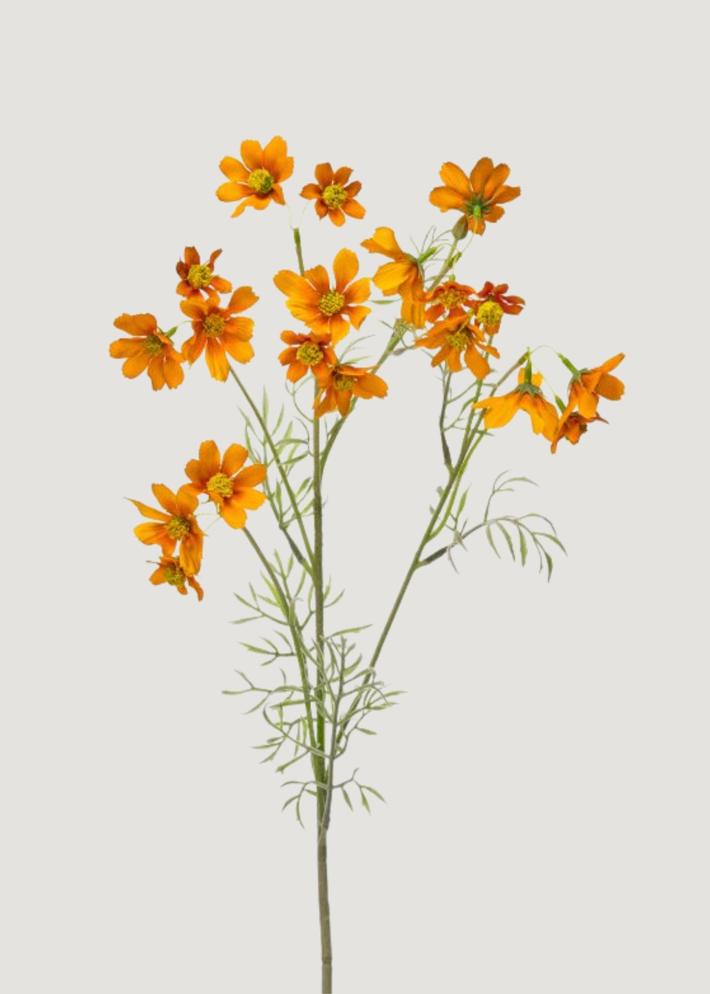 Orange Artificial Meadow Cosmos Wildflower Spray - 31"