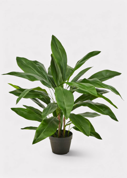 Outdoor UV Treated Fake Aspidistra Tropical Potted Plant - 33"