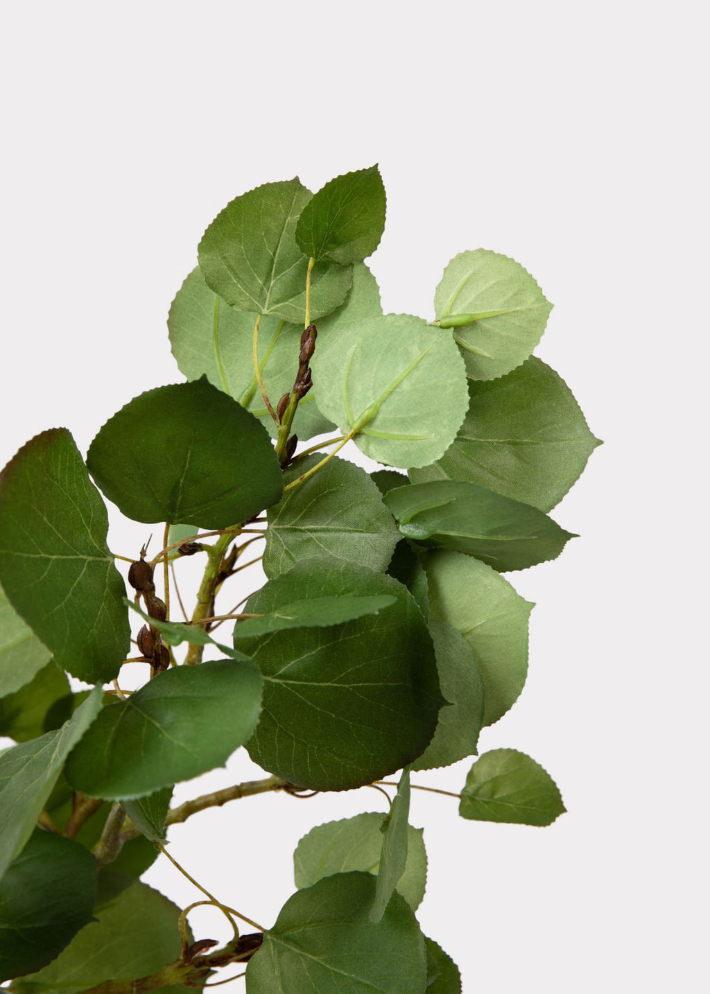 Premium Tall Artificial Aspen Branch - 51"