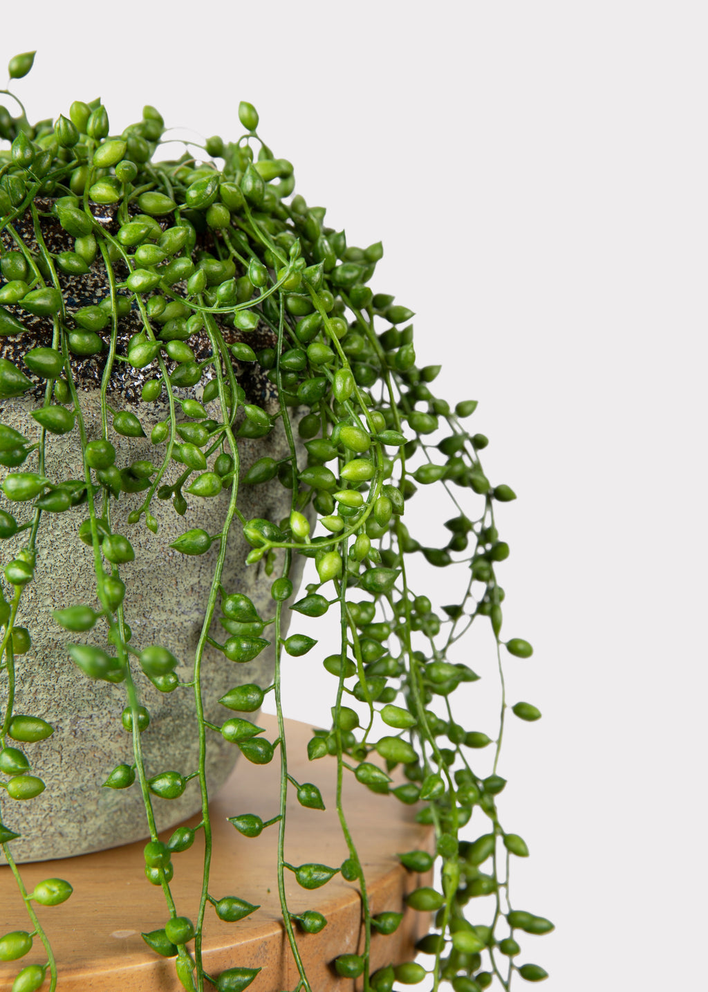 Fake String of Pearls Succulent Drop-In Plant - 17"