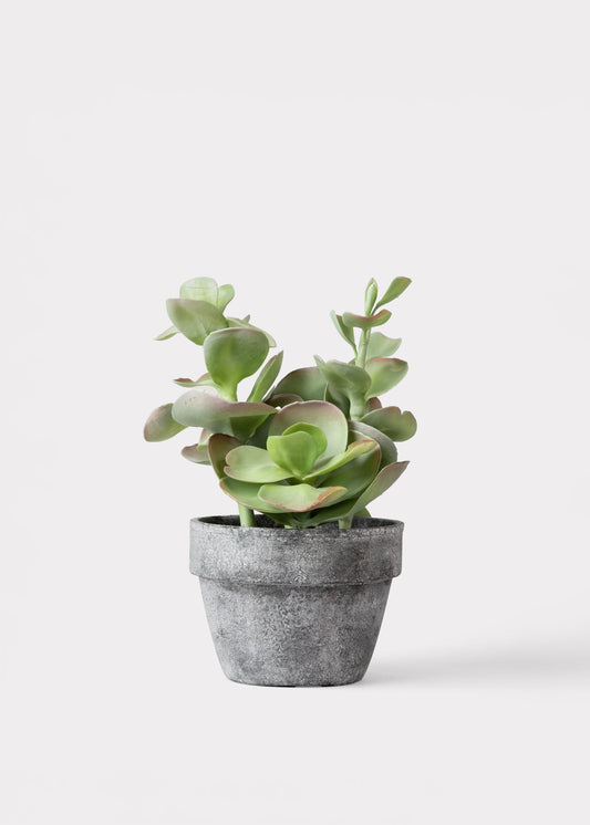 Fake Potted Artificial Succulent Plant  - 16.5"