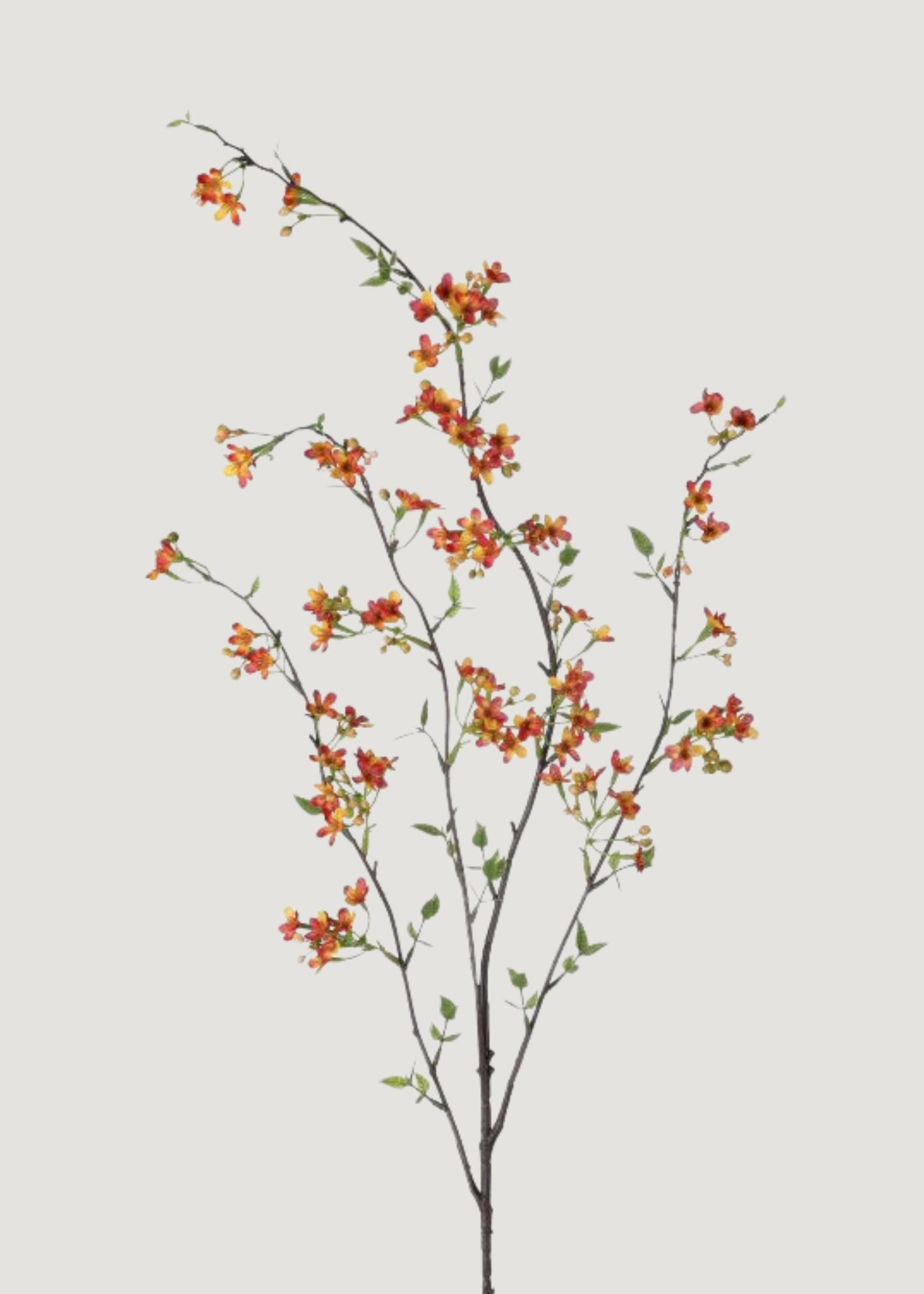 Orange Artificial Waxflower Blossom Branch - 40"