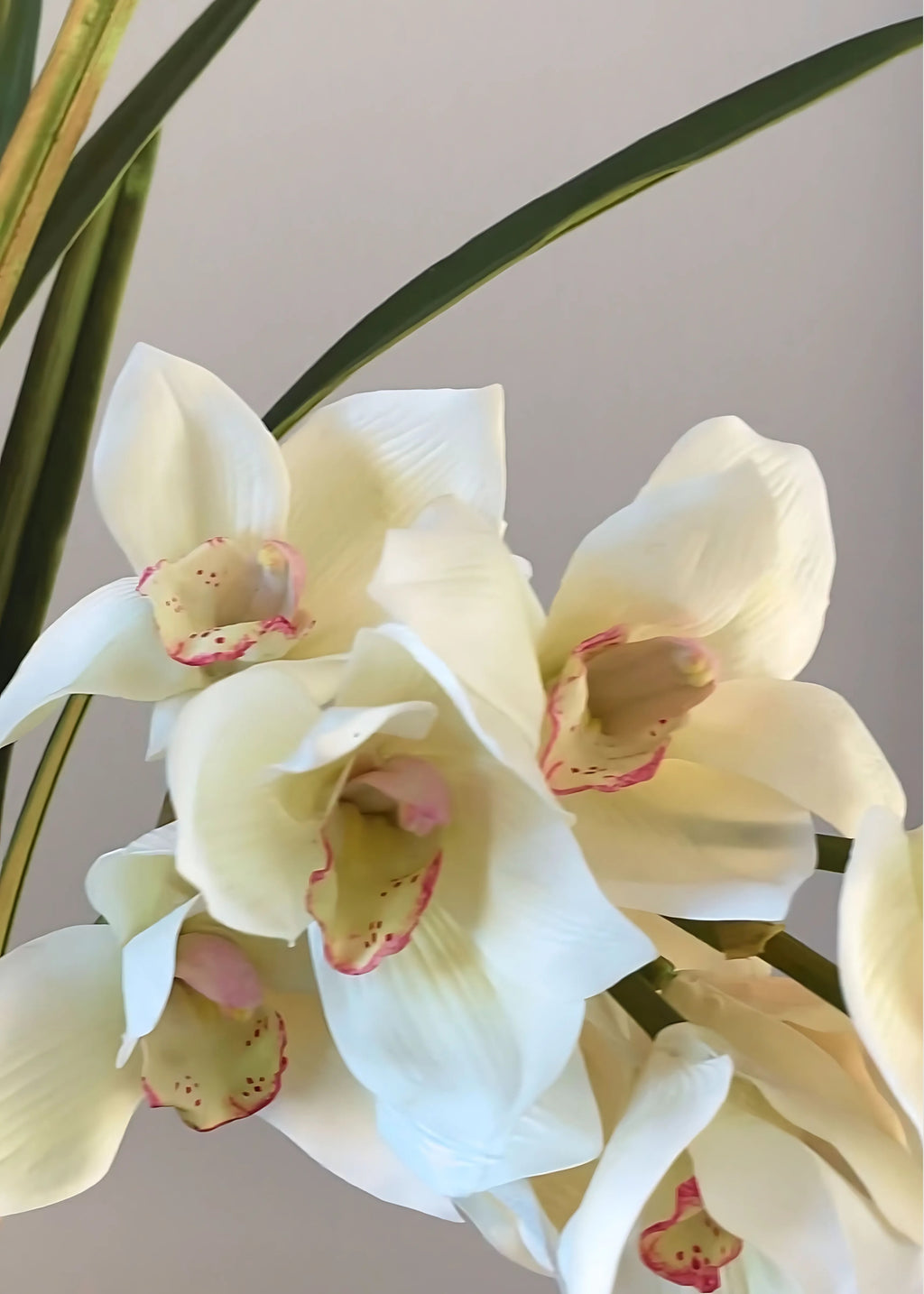 Artificial Cymbidium Orchid Potted Arrangement - 17"