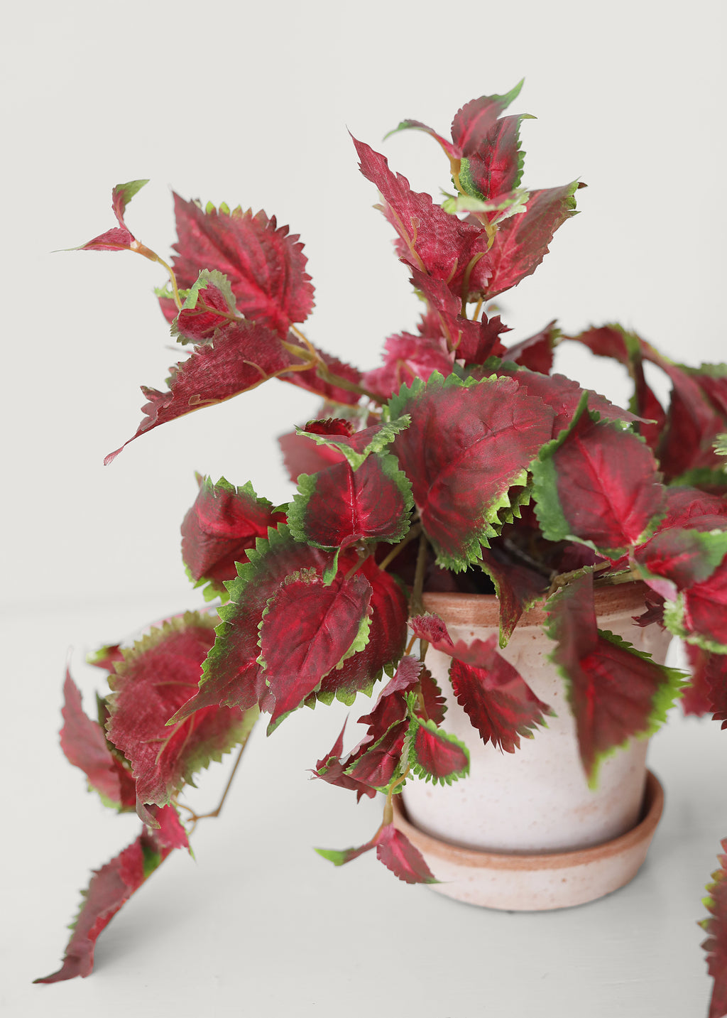 Fake UV Treated Indoor/Outdoor Hanging Coleus Plant - 25"