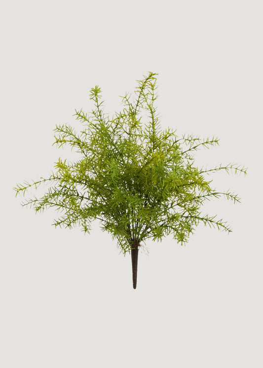 UV Treated Fake Sprengeri Fern Indoor/Outdoor Plant - 20"