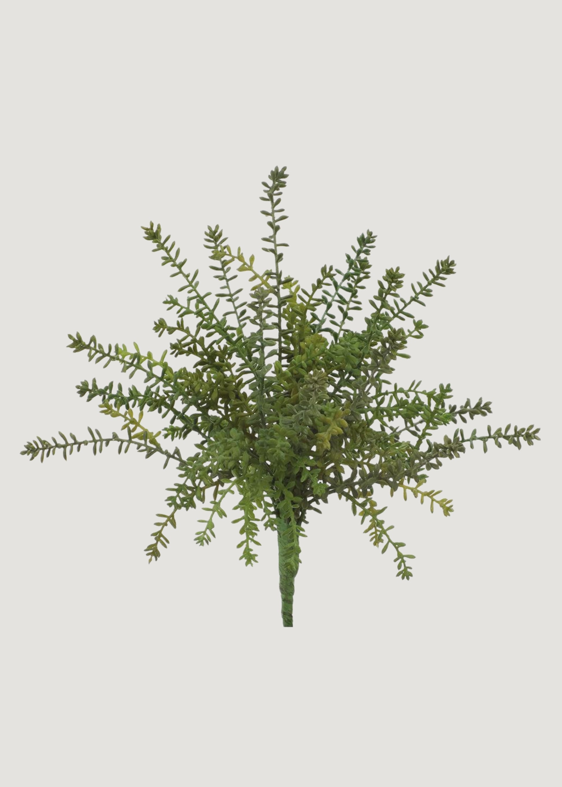 Fake Succulents Green Sedum Bush - 15.5"