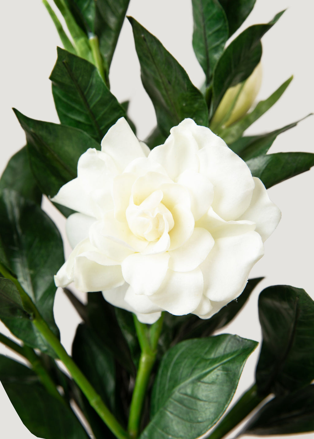 SAVE - Premium Artificial Gardenia Flower Branch- 19"