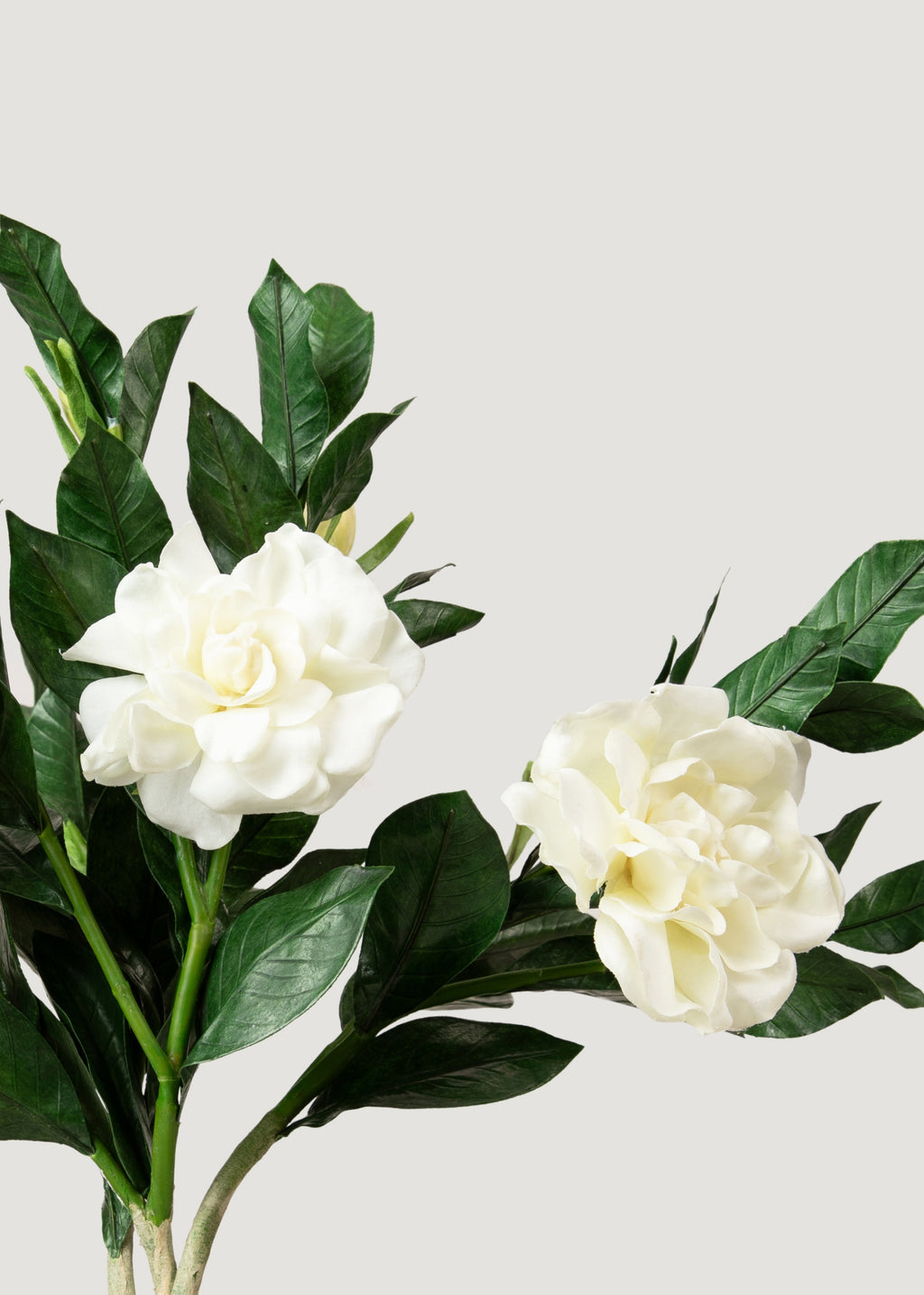 SAVE - Premium Artificial Gardenia Flower Branch- 19"