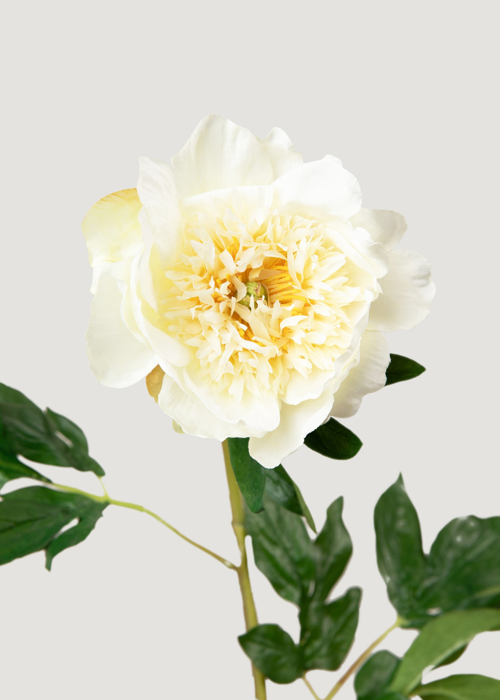 Artificial Peony Flower in Pale Yellow - 28.5"