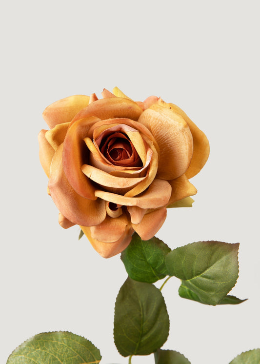 Deluxe Real Touch Rose in Autumn Orange - 29"