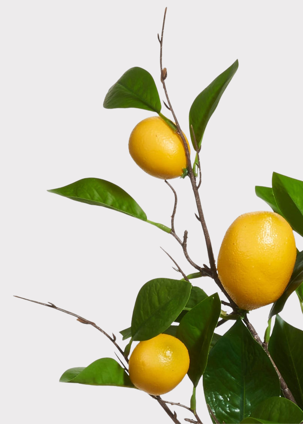 Yellow Fake Lemon Fruit Branch - 36"