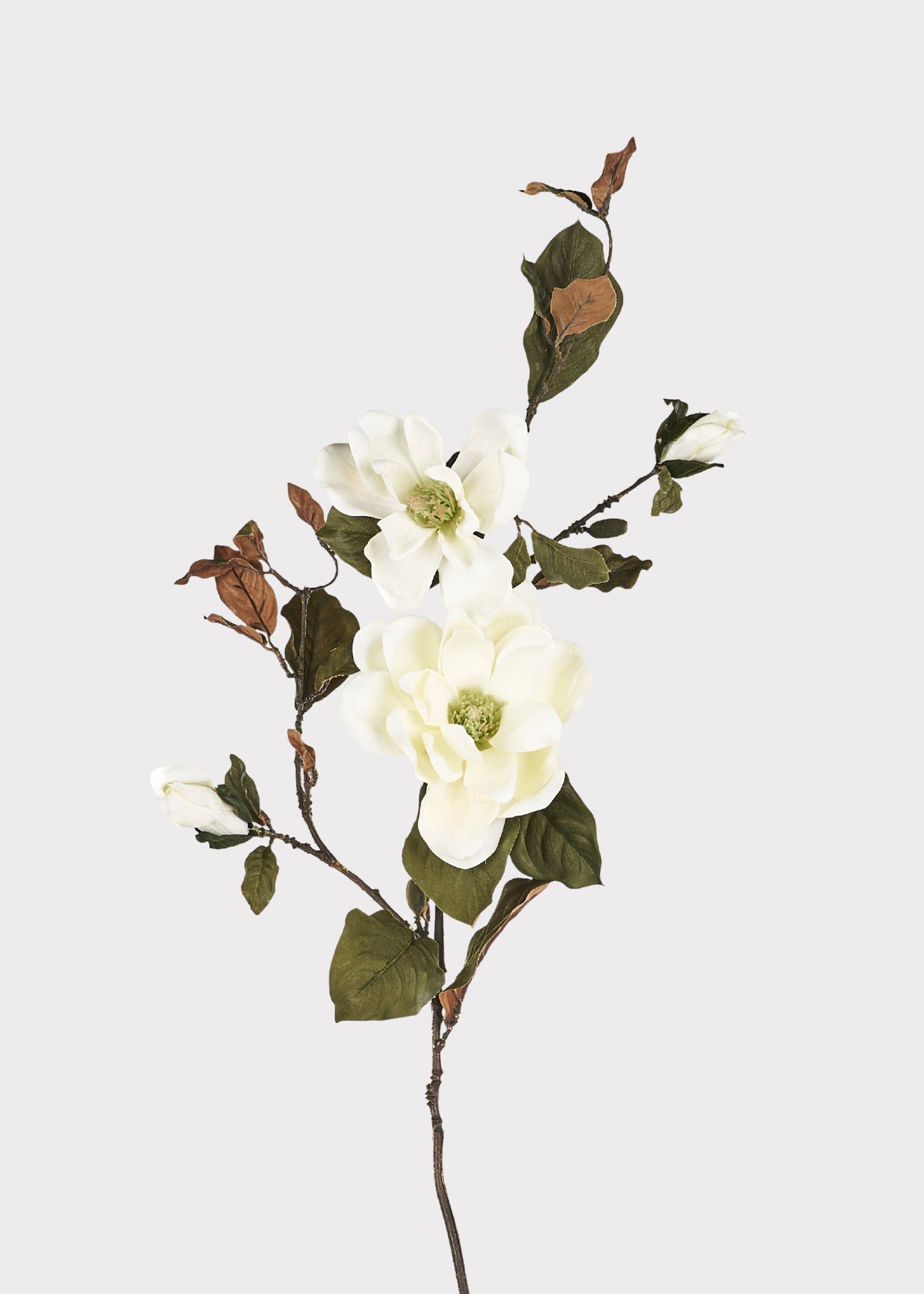 Artificial Blooming Magnolia Branch in Cream - 38"