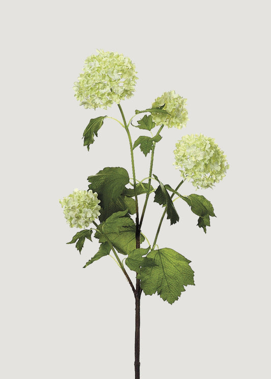Green Cream Artificial Snowball Flowers - 24"