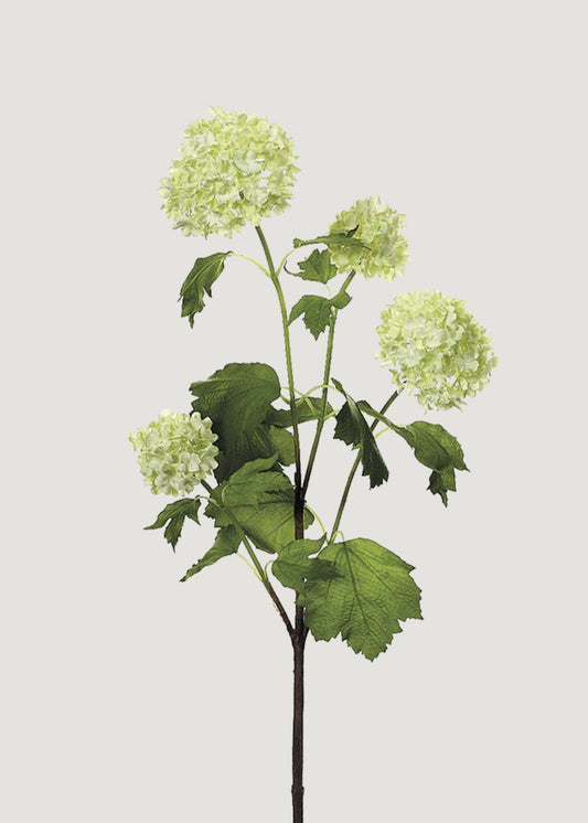 Green Cream Artificial Snowball Flowers - 24"