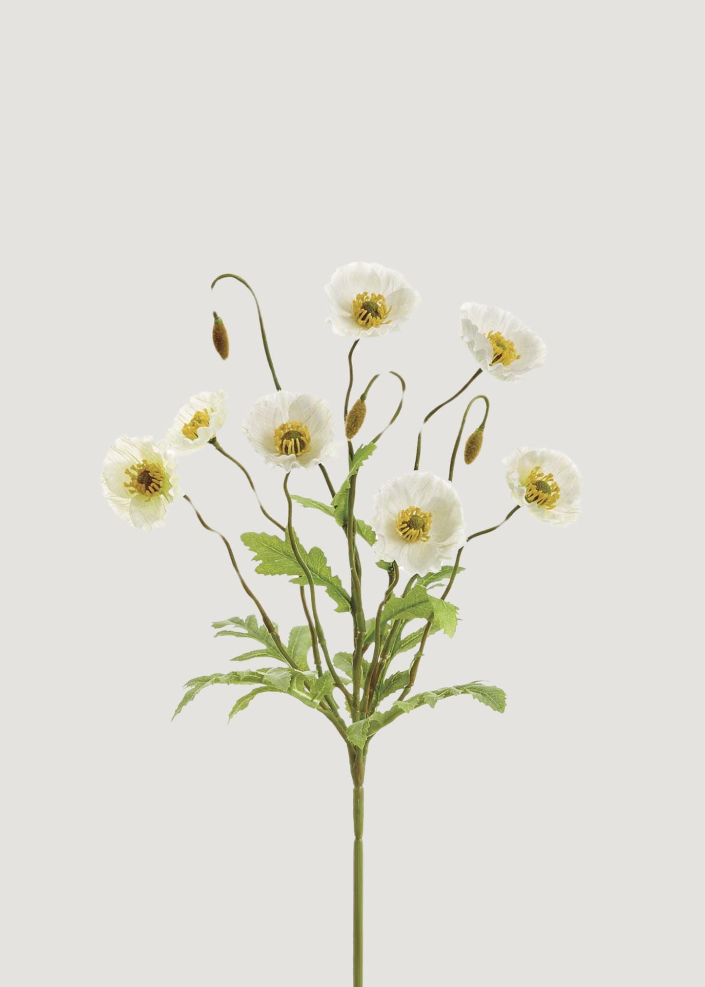 Cream Poppy Blooming Fake Flower Bush - 15"