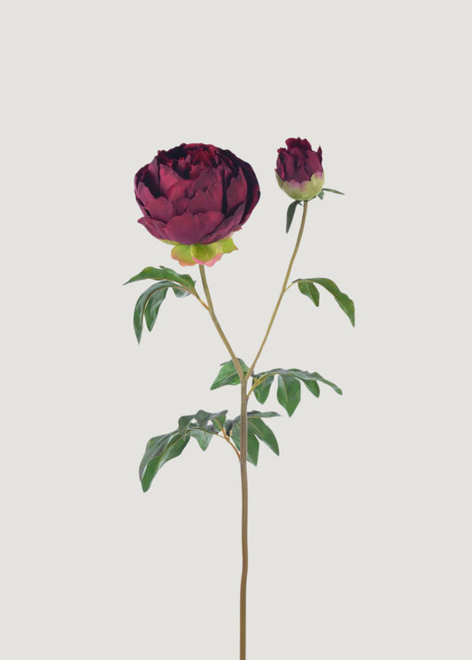 Plum Fuchsia Real Touch Peony - 27"