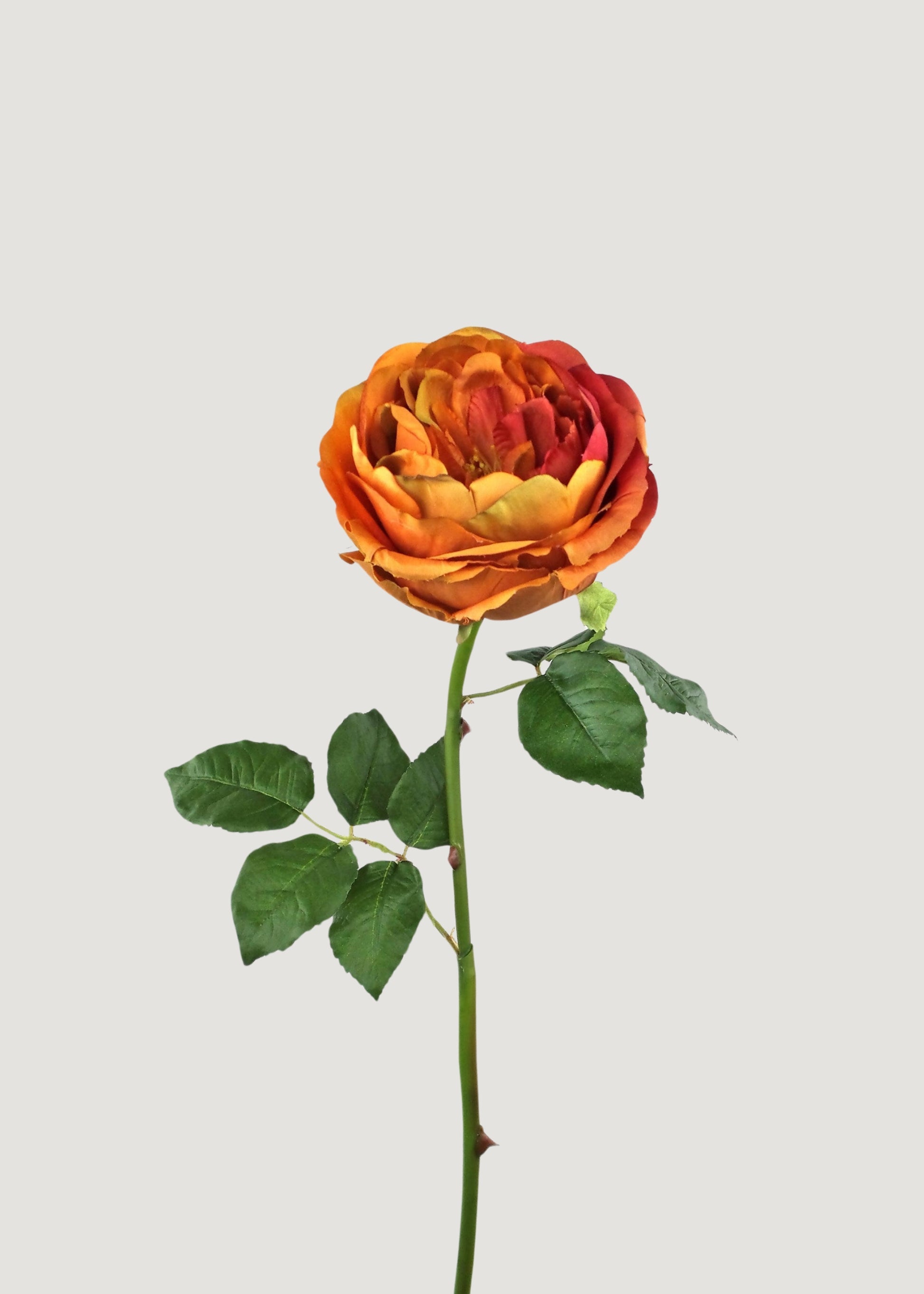 Artificial Rose in Burnt Orange - 22.75"