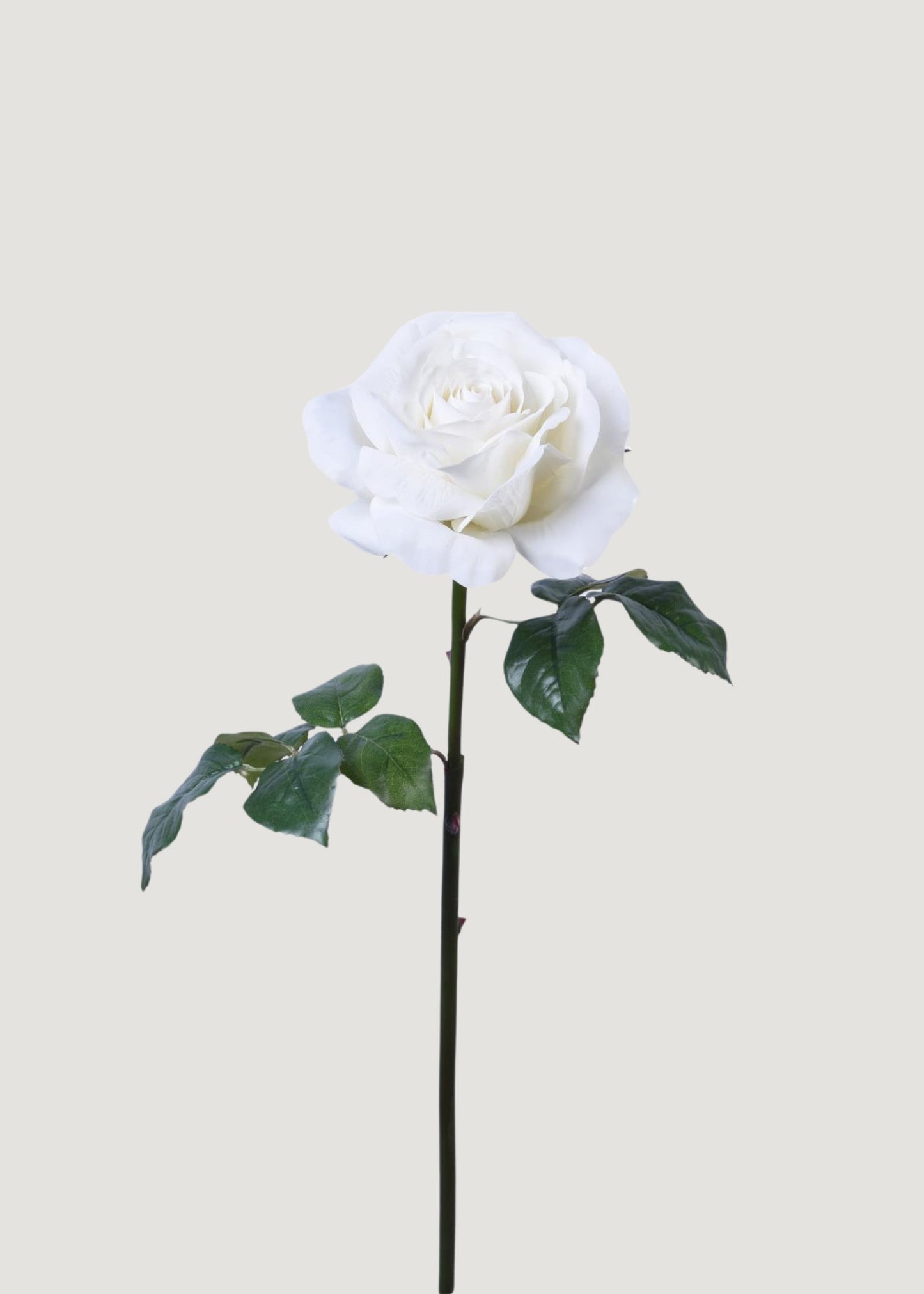 Natural Touch Artificial Rose in White - 35.25"